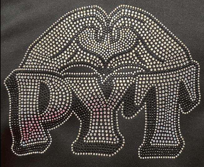 PYT Rhinestone Hoodie PYT Rhinestone Hoodie